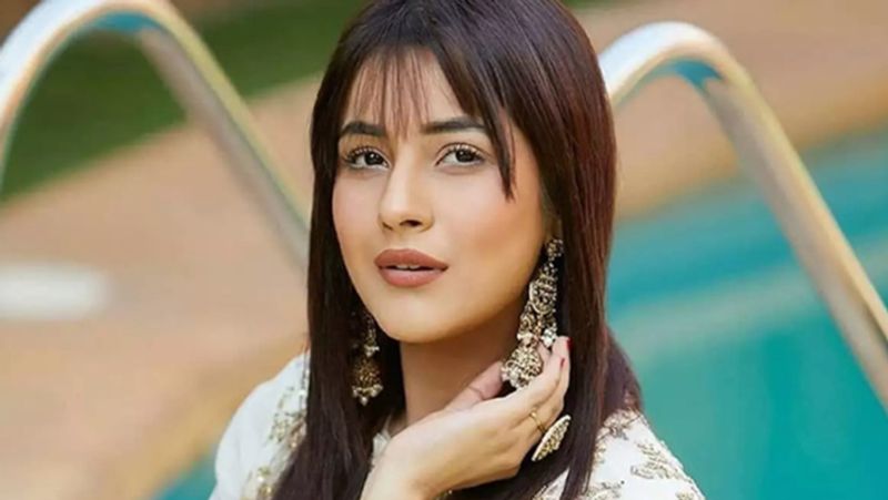 बता दें कि 'बिग बॉस 13' में शहनाज टॉप कंटेस्टेंट्स की लिस्ट में से एक थीं। वो शो के आखिरी तक गई थीं और उन्हें वहीं से बेस्ट एंटरटेनिंग का टैग मिला था। 