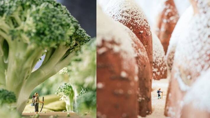 travel blogger recreates beautiful outdoor scenes by using food Items travel blogger recreates beautiful outdoor scenes by using food Items