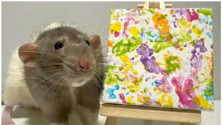 painting of a rat named gus painting of a rat named gus