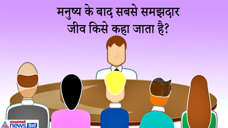 जवाब: डॉल्फिन।

