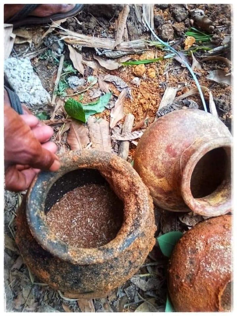 ഇടുക്കി , ചെല്ലാർ കോവിൽ മയിലാടുംപാറയിൽ നിന്ന് നന്നങ്ങാടികളുടെ വിപുലശേഖരമാണ് കണ്ടെത്തിയത്.