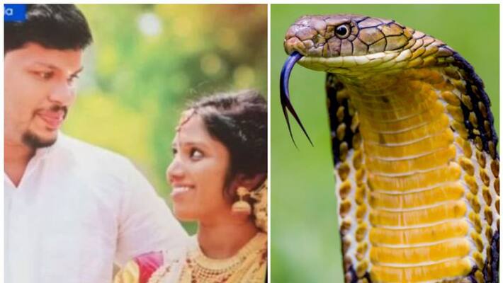 kollam Anchal uthra case snake bite murder court verdict doday kollam Anchal uthra case snake bite murder court verdict doday