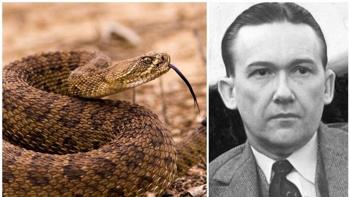 the man who killed his wife with snake bite for insurance the man who killed his wife with snake bite for insurance