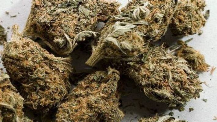 youth arrested with marijuana in chavakkad youth arrested with marijuana in chavakkad