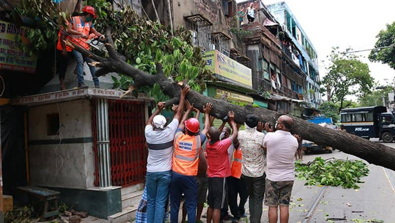 Cyclone Amphan: Kolkata limps back to normalcy