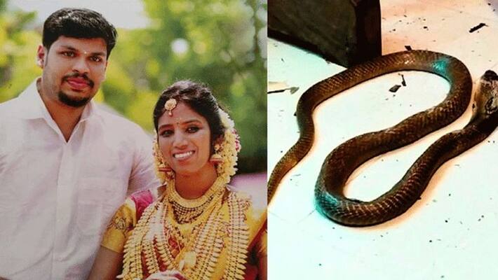 Kerala man kills wife with cobra...husband arrest Kerala man kills wife with cobra...husband arrest