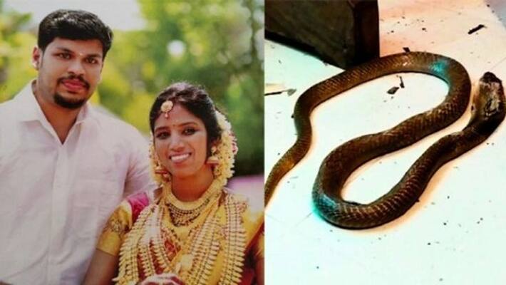 Husband who murdered his wife by bitten by a snake bakir vote The horrific incident in Kerala Husband who murdered his wife by bitten by a snake bakir vote The horrific incident in Kerala