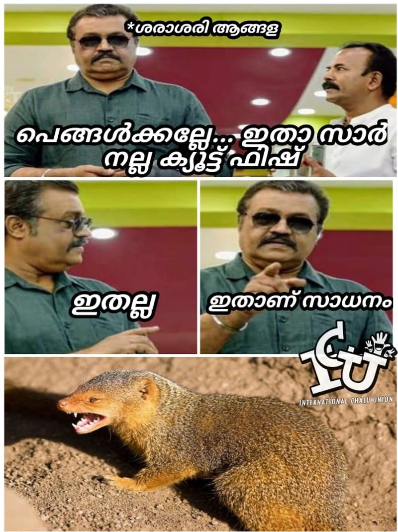ട്രോള് കടപ്പാട്: Arjun Chandran International , ഇന്റര്നാഷണല് ചളു യൂണിയന്