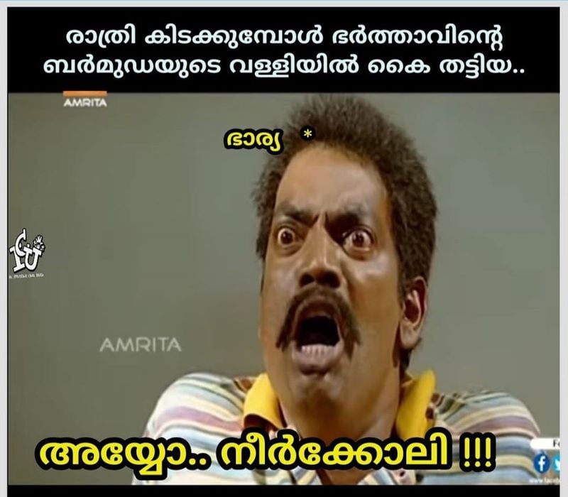 ട്രോള് കടപ്പാട്: Hitchcock Kanjikkuzhi , ഇന്റര്നാഷണല് ചളു യൂണിയന്