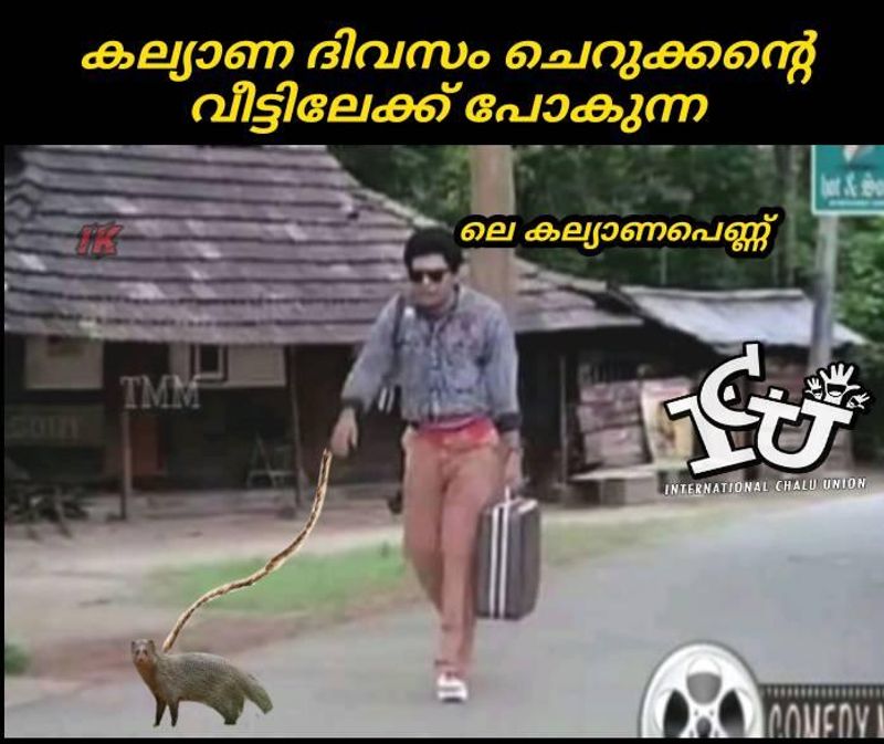 ട്രോള് കടപ്പാട്: Ibrähim KhaLeel IK , ഇന്റര്നാഷണല് ചളു യൂണിയന്