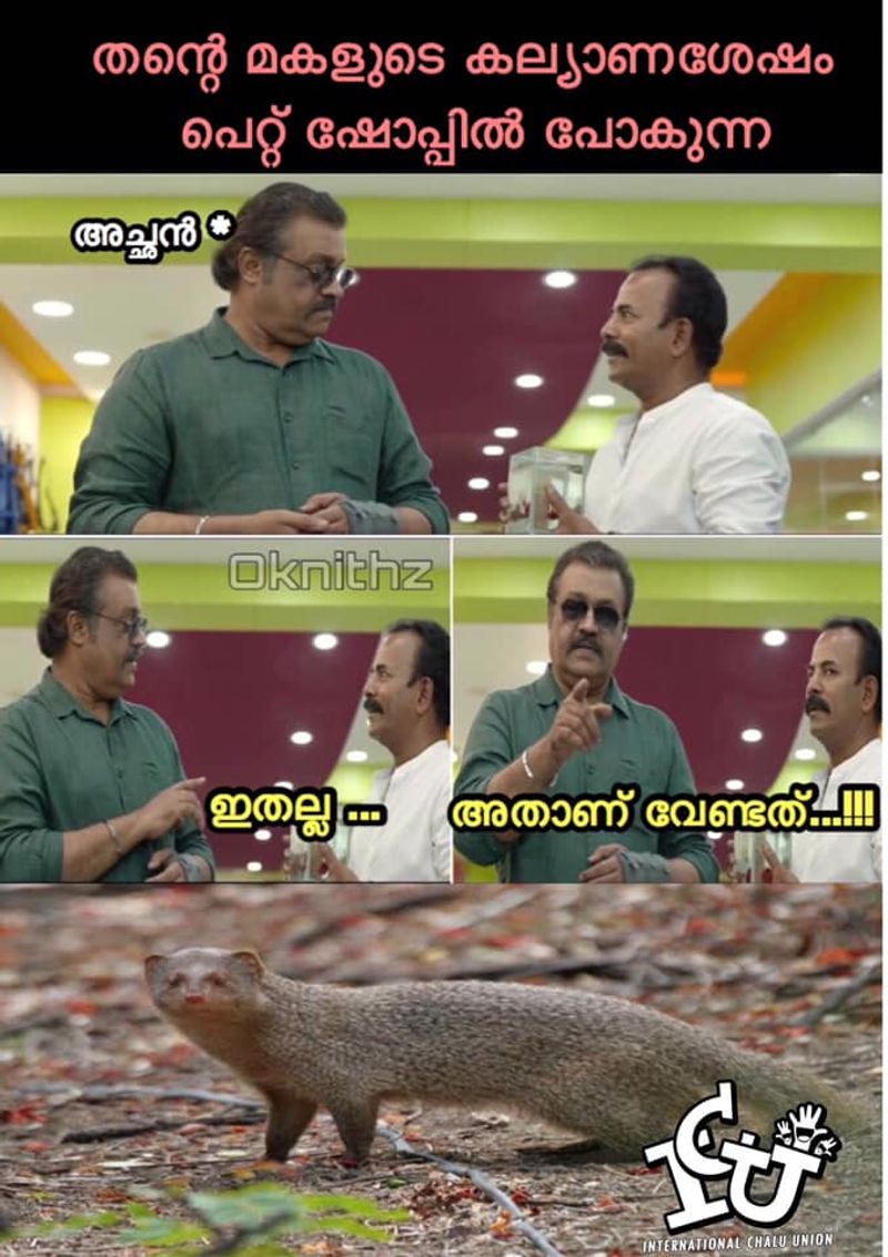 ട്രോള് കടപ്പാട്: Nithin Ok , ഇന്റര്നാഷണല് ചളു യൂണിയന്