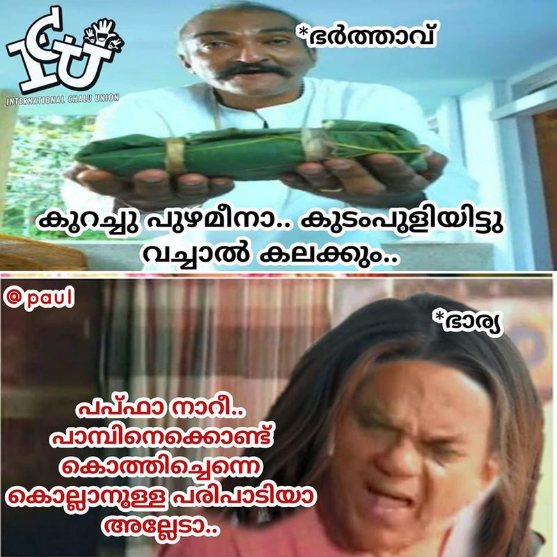 ട്രോള് കടപ്പാട്:Paul Barbar , ഇന്റര്നാഷണല് ചളു യൂണിയന്
