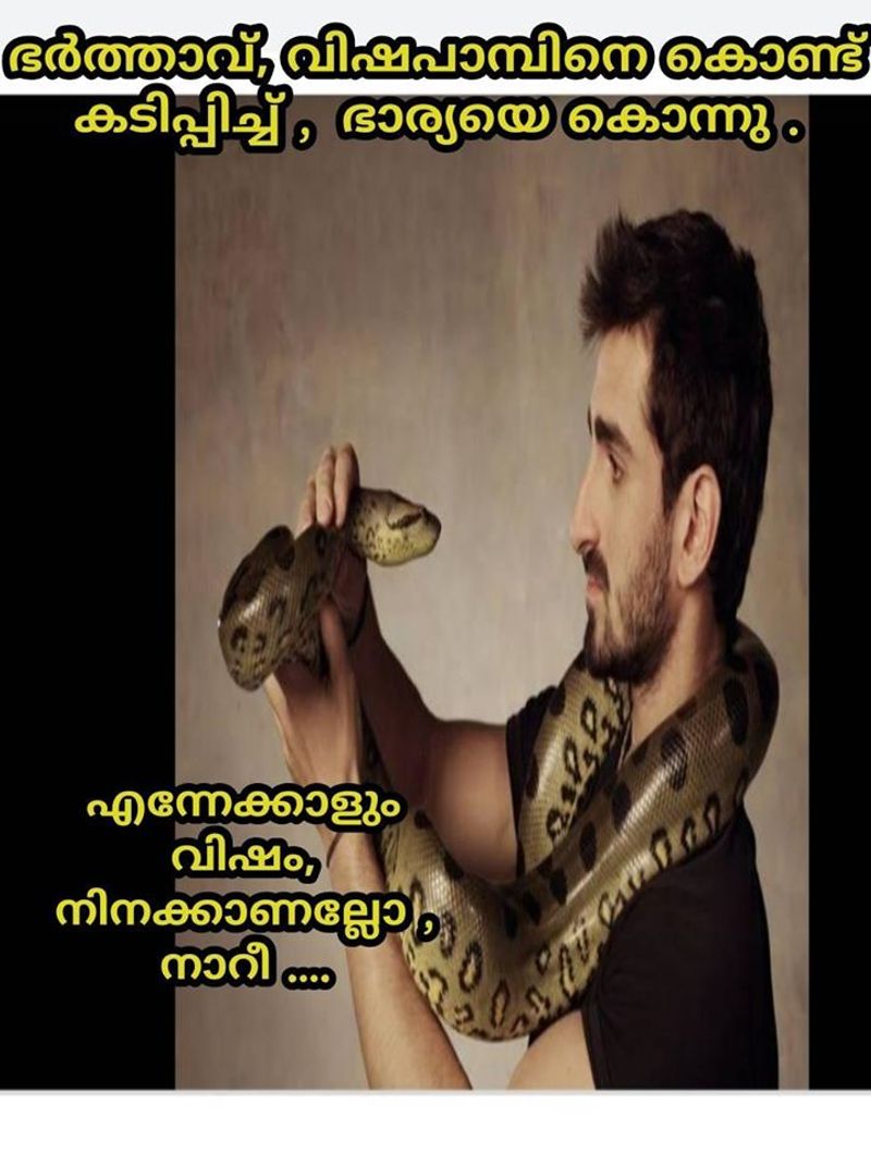 ട്രോള് കടപ്പാട്:Pratheesh Kurian , ഇന്റര്നാഷണല് ചളു യൂണിയന്