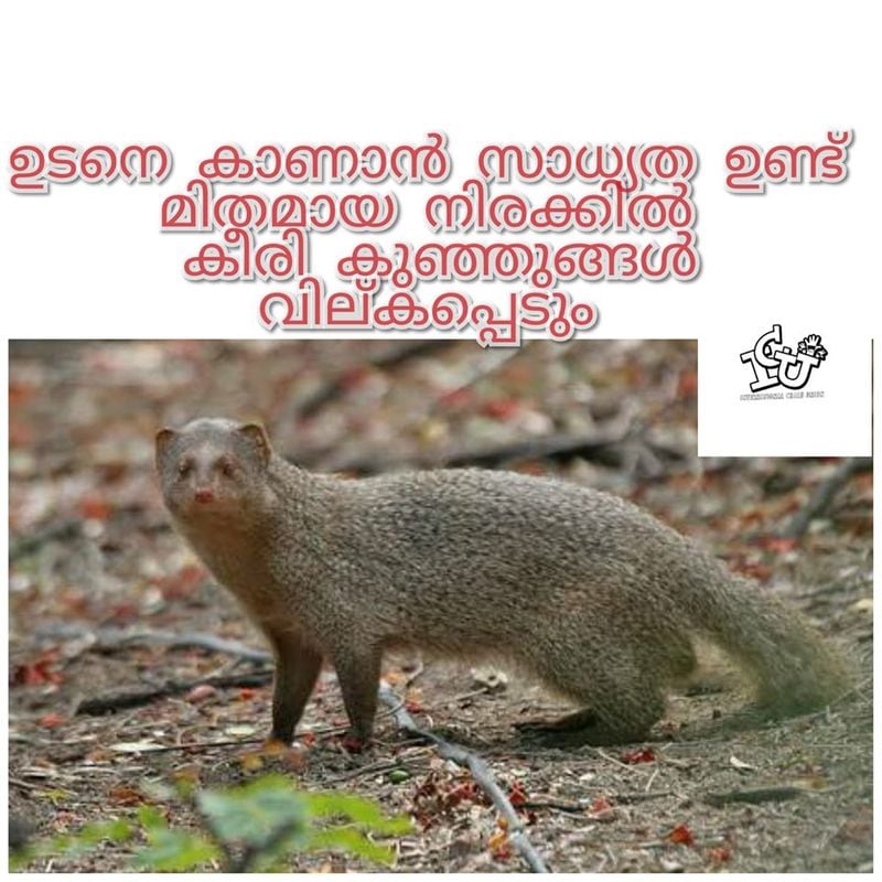 ട്രോള് കടപ്പാട്: Vishnu Raj , ഇന്റര്നാഷണല് ചളു യൂണിയന്