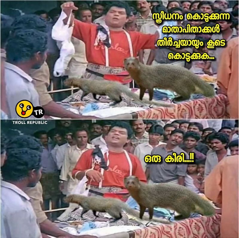 ട്രോള് കടപ്പാട്: അഭിമന്യു അപ്പു , ട്രോള് റിപ്പബ്ലിക്