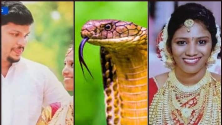 Kerala man kills wife with cobra: Fear of having to return dowry prompted Sooraj to murder Uthra Kerala man kills wife with cobra: Fear of having to return dowry prompted Sooraj to murder Uthra