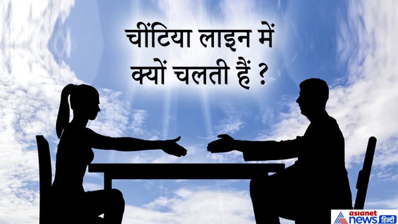 जवाब: जब चींटियां खाने की खोज में निकलती हैं तो सबसे आगे वाली मुखिया चींटी चलते समय ( Pheronomas) रयासन छोड़ती चलती है, जिससे पीछे वाली चींटियां उसी को सूंघते हुए आगे बढ़ती जाती हैं और चींटियां कतार में चलती दिखती हैं। 