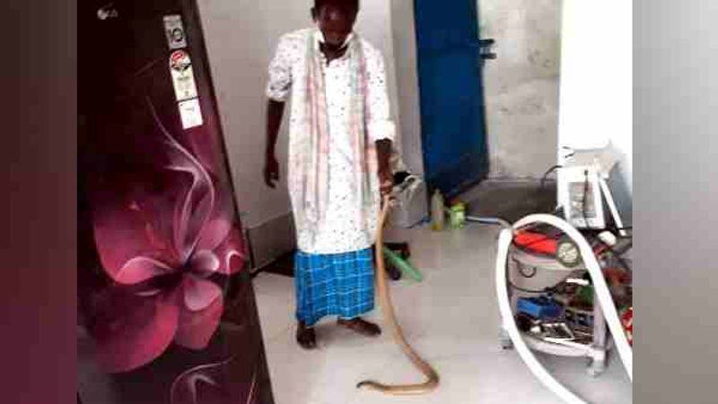 more than 50 snakes found from a monks home in Bihar