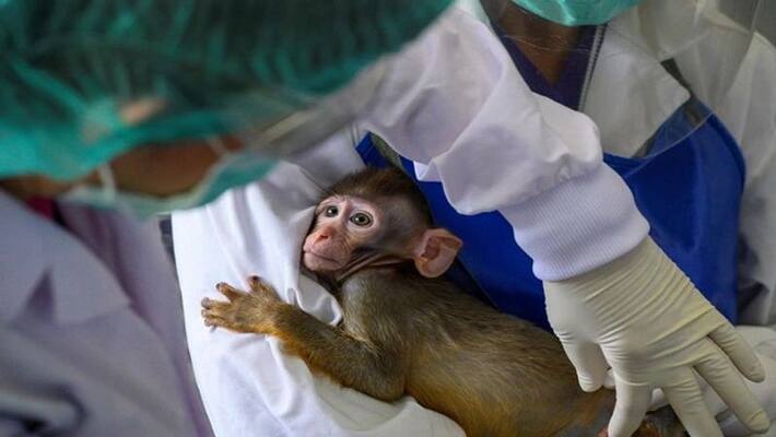 Thailand announce low cost vaccine for corona in 2021 Thailand announce low cost vaccine for corona in 2021