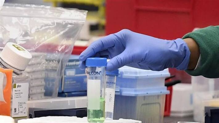 Novavax production start soon in India, NITI Commission Member said Clinical trials in advance stage DHA Novavax production start soon in India, NITI Commission Member said Clinical trials in advance stage DHA