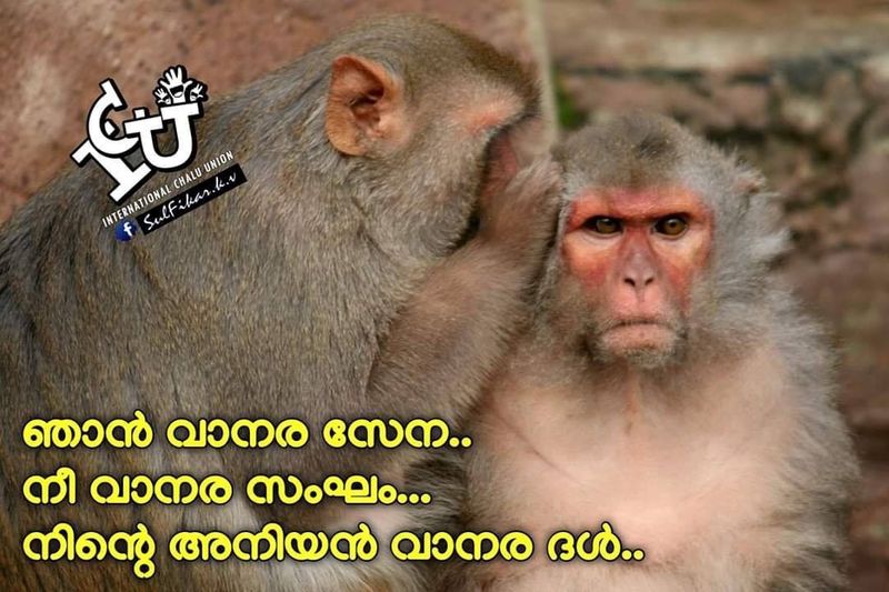 ട്രോള് കടപ്പാട്: South Fz , ഇന്റര്നാഷണല് ചളു യൂണിയന്