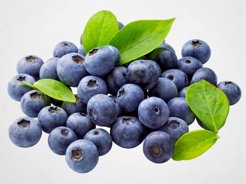 blueberry grow organically