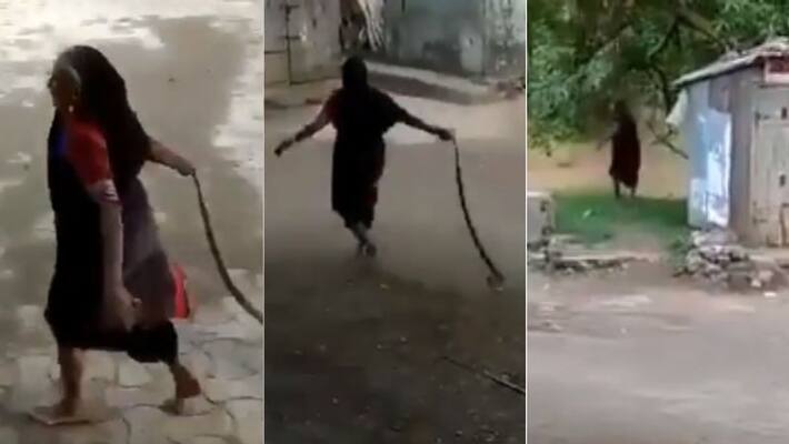 video of elderly woman dragging cobra by tail and throwing it get viral video of elderly woman dragging cobra by tail and throwing it get viral