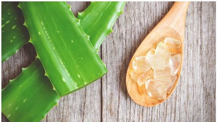 Amazing Uses for Aloe Vera Amazing Uses for Aloe Vera