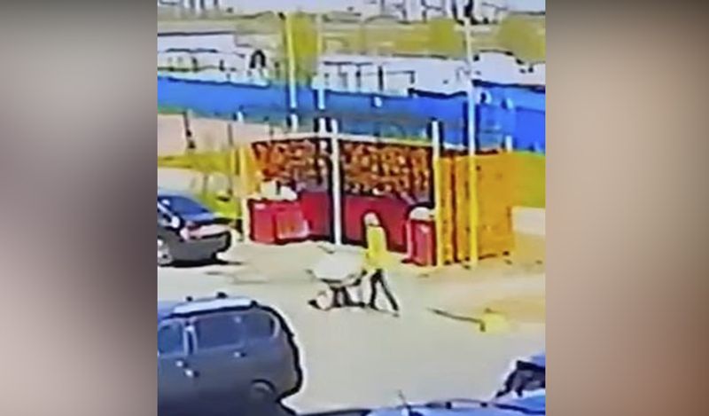 man caught roaming on roads for an hour with girlfriend corpse on wheelbarrow after murder kph