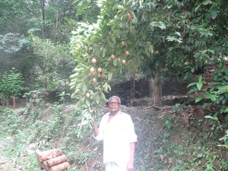 success story of a farmer named thomas from malappuram