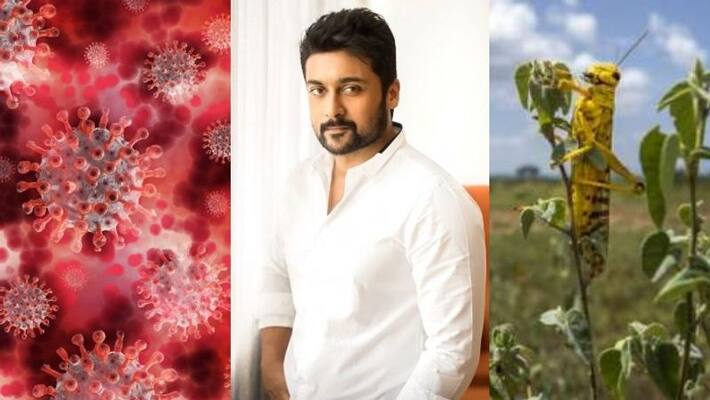 Coronavirus Locust swarm brings suriyas films back in discussion Coronavirus Locust swarm brings suriyas films back in discussion