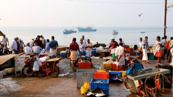 Covid to fisherman tuneri Contact with many people Covid to fisherman tuneri Contact with many people
