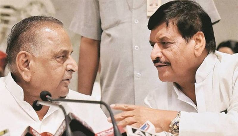 वरिष्ठ पत्रकार बृजेश सिंह का कहना है "मुलायम सिंह यादव का अपने बेटे अखिलेश यादव से लगाव होना लाजिमी है, लेकिन उनका लगाव शिवपाल यादव जैसे उस भाई से भी है जो हर कदम पर, हर संघर्ष में उनके साथ कंधे से कंधा मिलाकर खड़े थे और पार्टी को उंचाई पर पहुंचाने के लिए हरसम्भव कोशिश की है। आने वाले समय में अगर अखिलेश और शिवपाल के बीच सबकुछ सामान्य होता है तो निश्चित ही इससे समाजवादी पार्टी को फायदा होगा।

