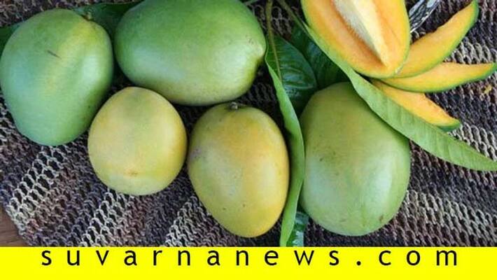 People not Interest to Purchase Mango due to Coronavirus Panic in Yelburga in Koppal District People not Interest to Purchase Mango due to Coronavirus Panic in Yelburga in Koppal District