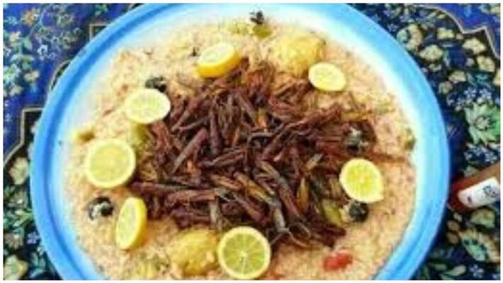 Locust 65 out of trouble ... Locust biryani sale in India Locust 65 out of trouble ... Locust biryani sale in India