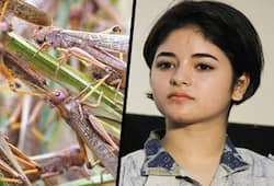 Zaira Wasim has become radicals, even in the locust attack, he sees the wrath of Allah