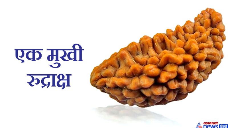 1. एक मुखी रुद्राक्ष
शिवपुराण के अनुसार, 1 मुखी रुद्राक्ष साक्षात भगवान शिव का ही रूप है। इसे गले में धारण करने से मनुष्य की हर इच्छा पूरी हो सकती है। अगर इस रुद्राक्ष की पूजा करके धन स्थान यानी तिजोरी में ऱखा जाए तो धन से संबंधित परेशानियां दूर हो सकती हैं।
