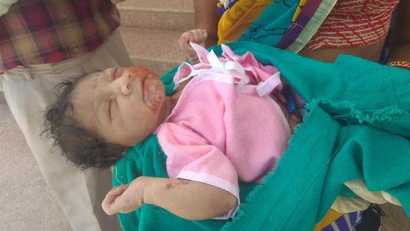 झाड़ियों में पड़ा मिला था यह बच्च: यह मामला छिंदवाड़ा जिले की परासिया तहसील के तामिया का है। यह बच्ची पिछले दिनों तामिया अंतर्गत ब्लाक परासिया की पंचायत बुदलापठार के ग्राम सूठिया में मिली थी। बच्ची को आबादी क्षेत्र से करीब 2 किमी दूर एक नाले में झाड़ियों के बीच फेंका गया था।
