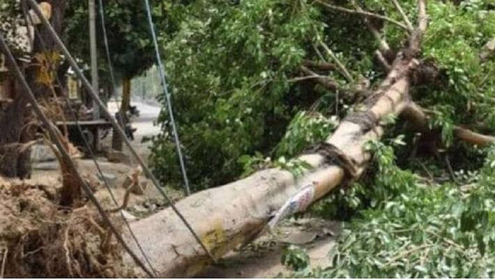UP 28 people die due to water and water; 61-year record broken, CM Yogi announces this ASA UP 28 people die due to water and water; 61-year record broken, CM Yogi announces this ASA