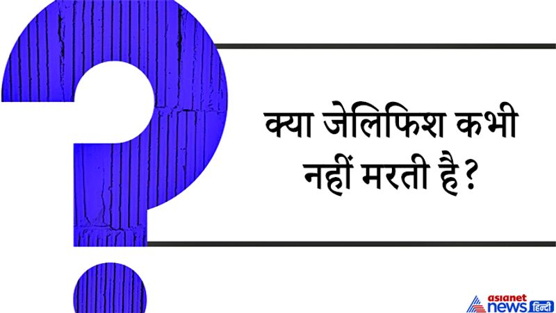 जवाब: जेलिफिश की एक विशेष प्रजाति टूरिटोप्सिस डोर्नी अमर मानी जाती है। क्योंकि यह जेलिफिश अपनी वृद्धावस्था में पहुंचने पर एक बार फिर अपने बचपन में जा सकती है ये एक अनंत चक्र है इसलिए ये कभी मरती नहीं है।
ये भूगोल से पूछा जाने वाला सवाल है। दरअसल सभी जानवर पैदा होकर एक बार मरते ही है ऐसे में अमर समुद्री जीव को लेकर मौैजूद मिथक को लेकर ये सवाल पूछा गया है। 