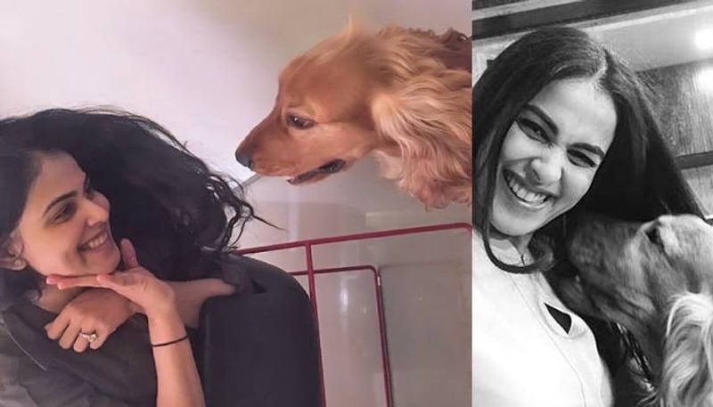 ഷൂട്ടിംങ് സെറ്റില് പോലും വളർത്തുനായകളെയുംകൊണ്ടാണ് പല നായികമാരും വരുന്നത്. നടിമാരുടെ വളർത്തുനായകളെവരെ ഇന്ന് ആളുകള്ക്ക് അറിയാം. അവരുടെ പേരുകള് അറിയാം.എന്തിന് ഈ ഓമനമൃഗങ്ങള്ക്ക് വരെ ഫാന്സുണ്ട്.