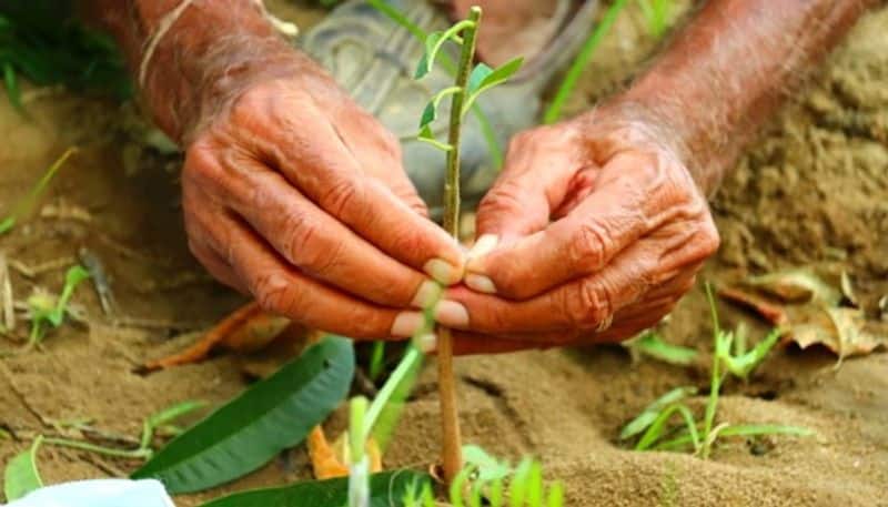World Environment Day 2020 Collective wisdom key to Bengalurus survival
