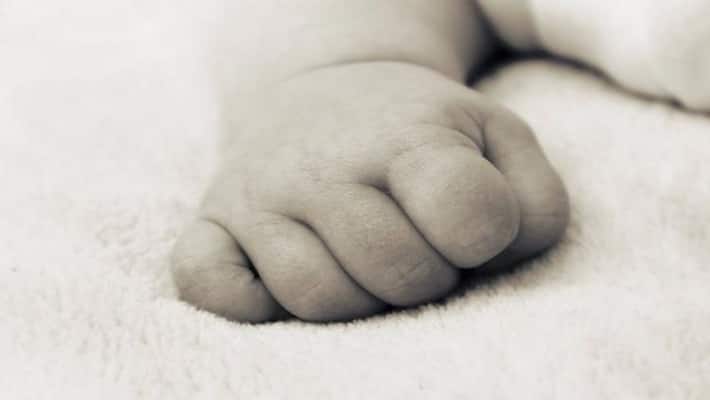 Dogs scratched 6-year-old girl, poor father kept going round 5 hospitals, died due to negligence Dogs scratched 6-year-old girl, poor father kept going round 5 hospitals, died due to negligence