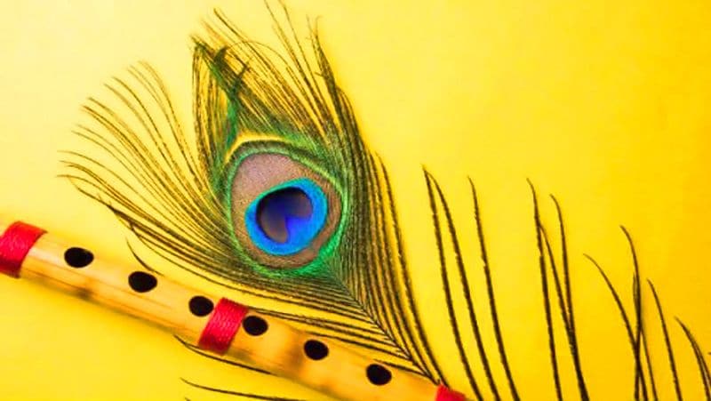 বাড়িতে গোপাল থাকলে এদিনে গোপালকেও মাখন ও মিশ্রিদিয়ে পুজো দিতে পারেন।