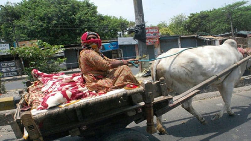 मामला मेरठ के काशीपुर गांव का है। यहां के रहने वाली अनीता गर्भवती थी। बीते शनिवार को अनीता को प्रसव पीड़ा हुई तो परिजनों ने एम्बुलेंस को फोन किया। काफी देर बाद एम्बुलेंस आई तब तक अनीता की हालत काफी बिगड़ चुकी थी। परिजन उसे लेकर चले ही थे कि तभी अनीता ने एम्बुलेंस में ही बच्चे को जन्म दे दिया।
