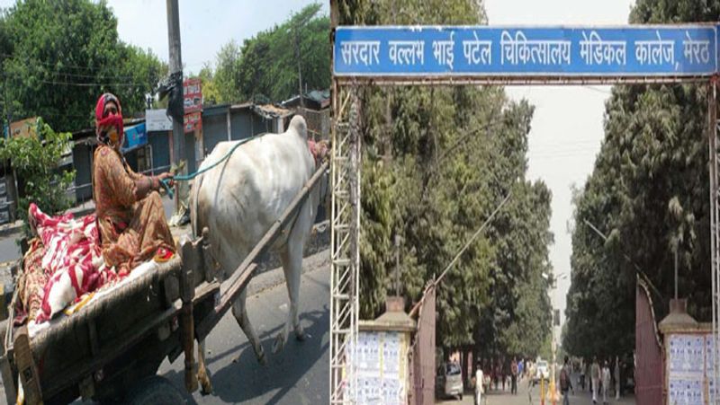 परिजन दोनों को बैलगाड़ी से आनन- फानन में लेकर मेडिकल कालेज पहुंचे। यहां काफी देर इन्तजार करने के बाद जब डॉक्टरों ने उन्हें देखा तो उसे जिला अस्पताल ले जाने को बोला।