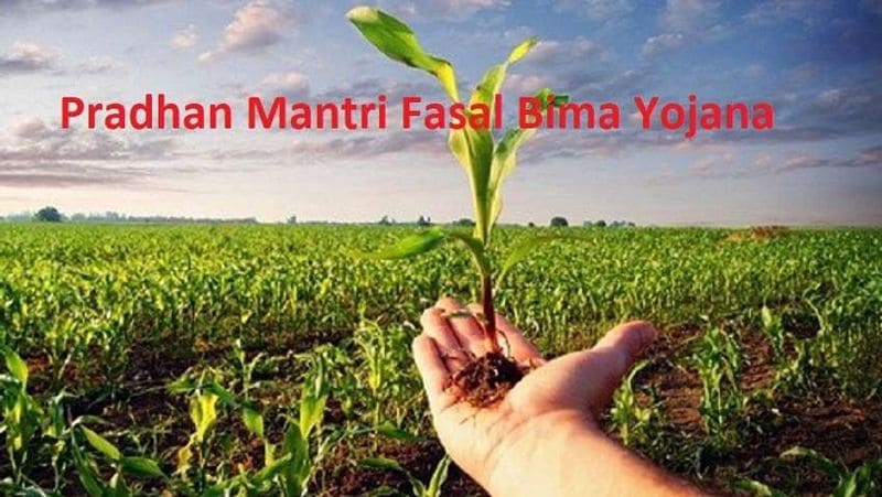 कैसे मिलता है लाभ
प्रधानमंत्री फसल बीमा योजना में लाभ लेने के लिए फसल की बुआई के 10 दिन के भीतर किसान को बीमा योजना के लिए एप्लिकेशन देना होगा। बीमा का लाभ तभी मिलता है, जब किसी प्राकृतिक आपदा की वजह से फसल खराब हुई हो। ओला पड़ने, भू-स्खलन, बिजली गिरने, आंधी और चक्रवाती तूफान आने से फसल खराब होने पर नुकसान की भरपाई की जाती है। प्राकृतिक आपदा की वजह से अगर फसल की बुआई न की जा सके, तो ऐसी स्थिति में भी लाभ मिलता है।