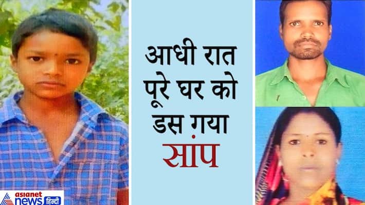 Kawardha News, snake bite in Chhattisgarh, parents and son die kpa Kawardha News, snake bite in Chhattisgarh, parents and son die kpa