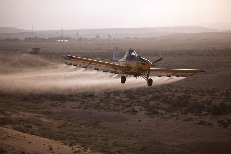 Flight Safety: Locust swarm could be worse than bird strike