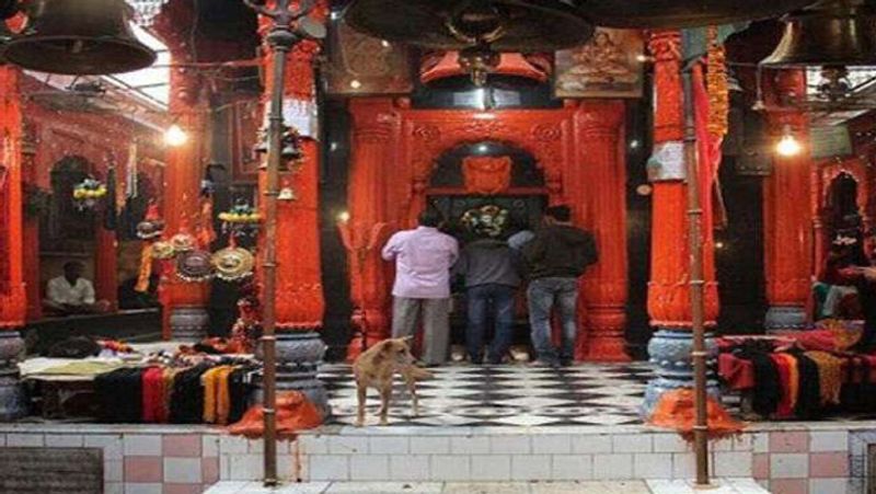 जो पत्र काल भैरव के कपाट यानी मंदिर के मुख्य द्वार पर हर रोज मिल रहे हैं उनमें अलग-अलग तरीके की अर्जियां शामिल हैं। किसी ने अपनी शादी का न्योता दिया है तो कोई अपनी पीड़ा लिख के डाला है। लेकिन सबसे ज्यादा पत्र कोविड 19 को खत्म करने के लिए आ रहे हैं। लोग पत्र में लिख रहे हैं कि बाबा इस महामारी को विश्व कल्याण के लिए दूर करो।
